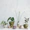 Hello Honey® 8" Round Distressed Terra Cotta Footed Planter